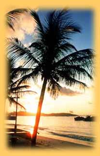 bestofkenya.com - for that special safari holiday to Kenya.